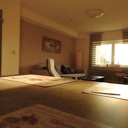 Schoene Gemuetliche Ferienwohnung Mit Fernblick. Nalbach Εξωτερικό φωτογραφία